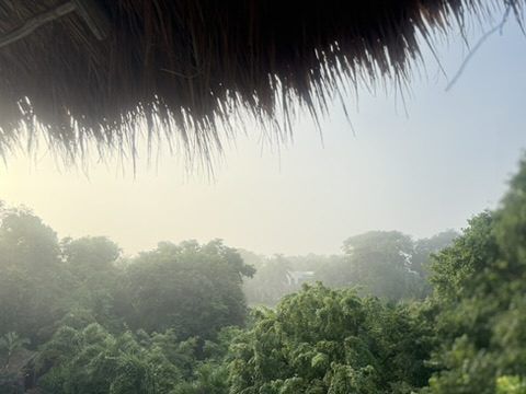 Niebla matutina